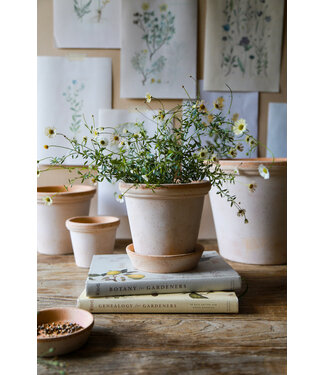 berg Flora RAW Rosa, Set 16cm