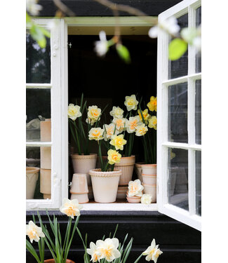 berg Berg Emilia RAW Rosa, Set 18cm