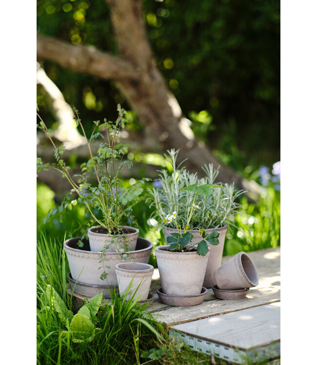 berg Helena RAW Grey, Set 16cm