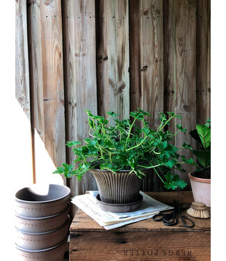 berg Berg Daisy Raw Grey Set 30cm