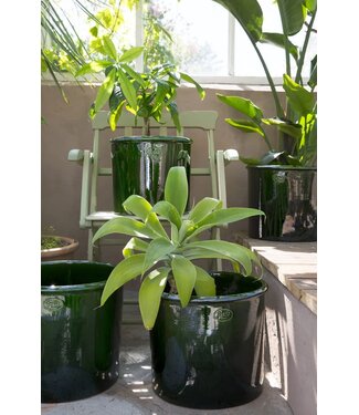Berg Modena GLAZED Emerald Green Cachepot 40cm