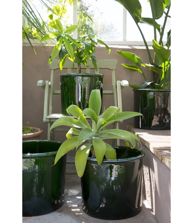 berg Berg Modena GLAZED Emerald Green Cachepot 40cm