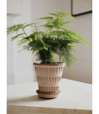 Berg Pantheon Raw Rosa Set 16cm