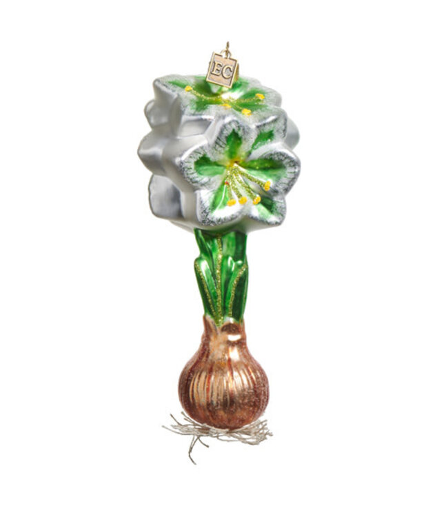 WHITE GREEN AMARYLLIS BULB ORNAMENT 6"