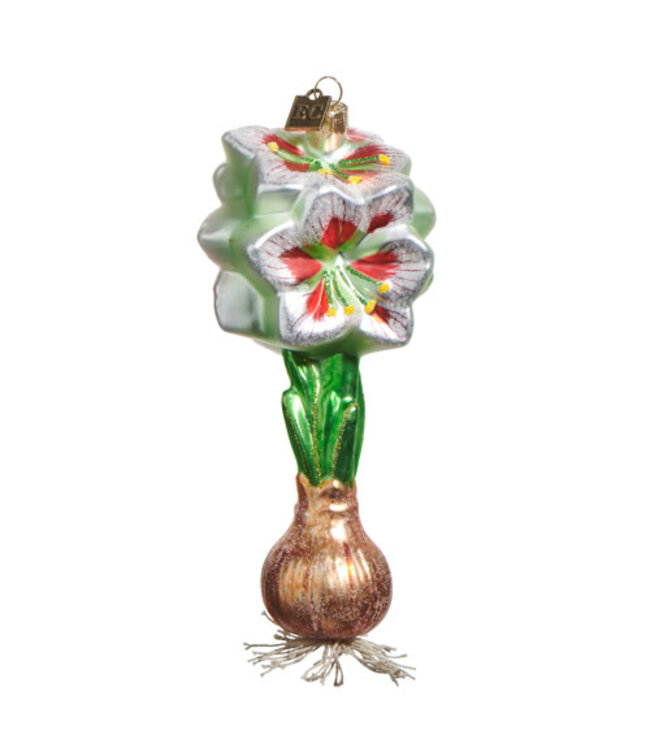 WHITE RED AMARYLLIS BULB ORNAMENT 6"