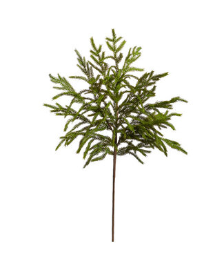 NORFOLK PINE SPRAY 33"