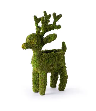 Reindeer Deco Planter Standing 4"