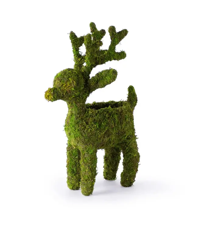 Reindeer Deco Planter Standing 4"