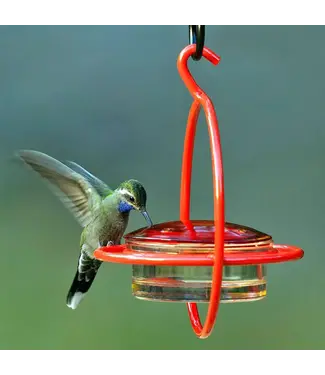 Mosaic Birds Hummble Bold Hummingbird Feeder Red