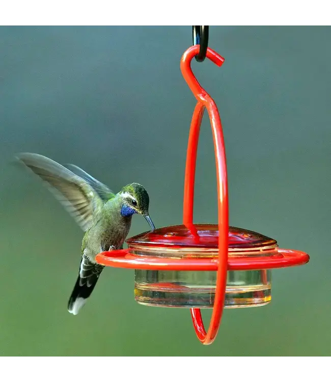 Mosaic Birds Hummble Bold Hummingbird Feeder Red