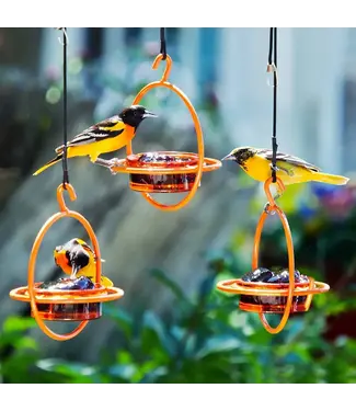 Mosaic Birds Hummble Bold Bird Feeder Orange
