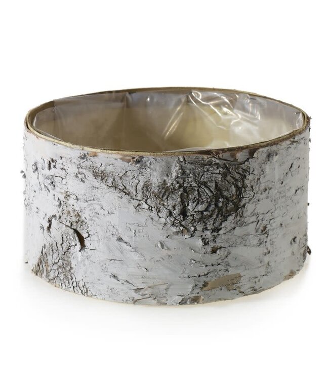 BIRCH BOWL WHITE 12"X 6"