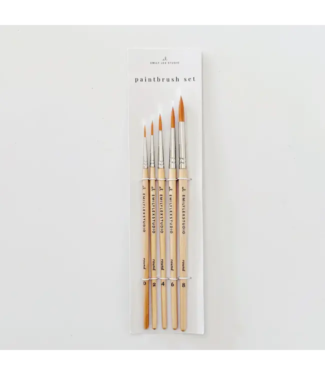 Watercolor Paintbrush Set of Five Wood Brushes