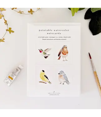 Backyard Birds Paintable Notecards