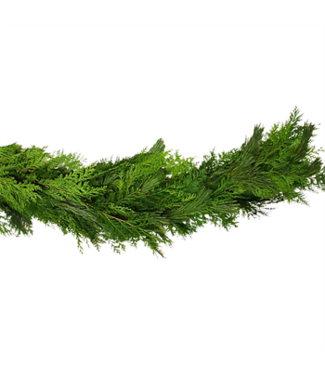 Bulk Garland Mixed 75'