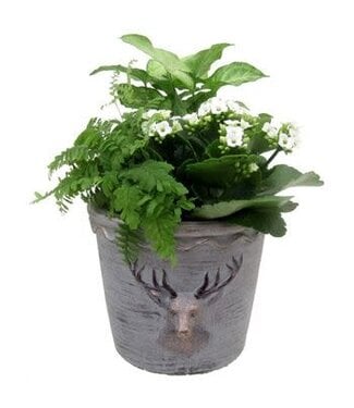 Indoor Garden Elliot Medium