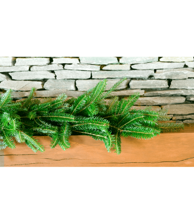 Garland - Fraser Fir 6' Roll