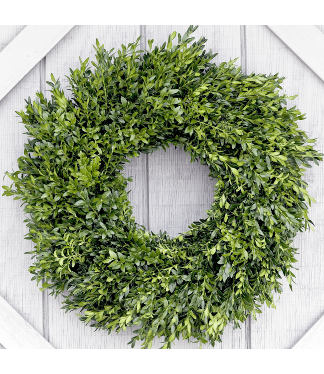 Wreath - Boxwood SF Wreath