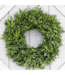 Wreath - Boxwood SF Wreath