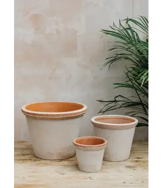 berg Berg Flora RAW Rosa, Set 35cm