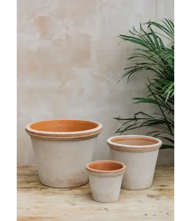 berg Berg Flora RAW Rosa, Set 35cm