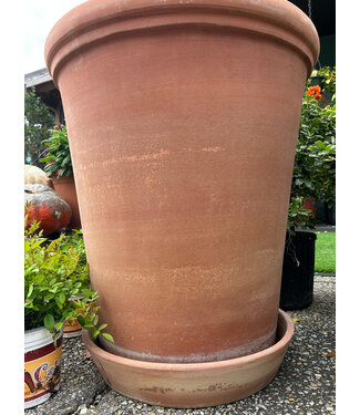 Berg RAW Rosa Saucer 60 cm