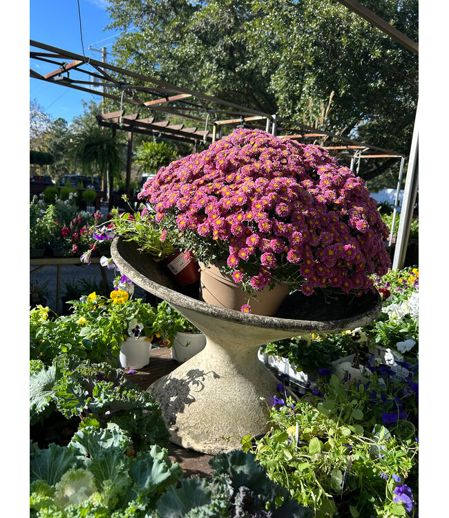 Antique Tilt Planter