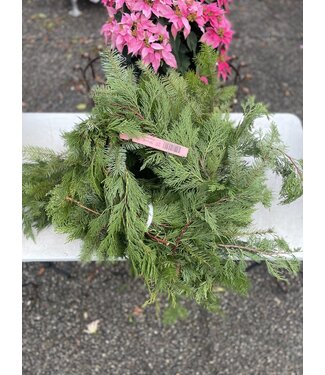 Garland Mixed - Floral Grade  Mixed 5'