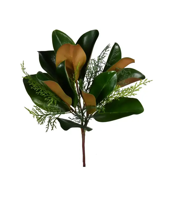 Magnolia Evergreen Leaf Spray 16"