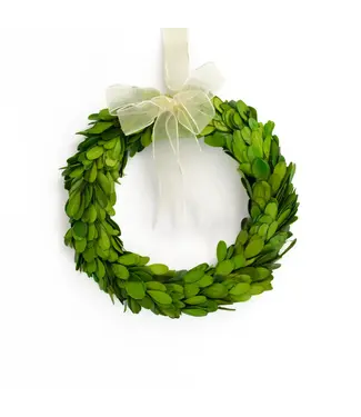 Preserved Boxwood Wreath - Round w/Ribbon 8"