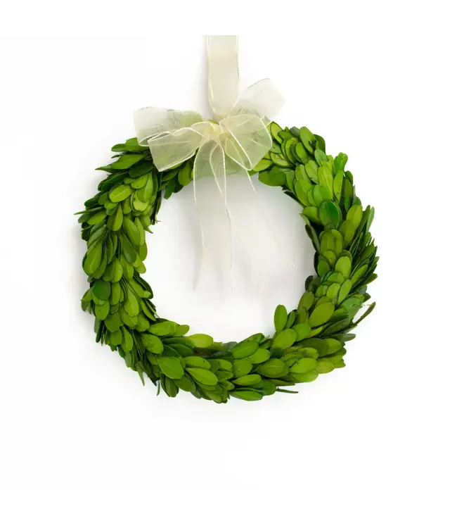 Preserved Boxwood Wreath - Round w/Ribbon 8"