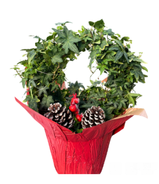 Ivy Hoop in Cover 8"