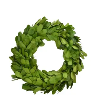 Preserved Boxwood Candle Ring 6"