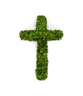 Preserved Boxwood Cross 24"x16"x3"