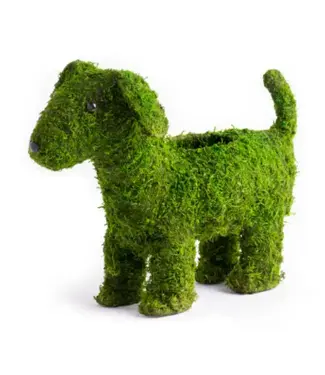 Deco Moss Animal - Puppy 13"