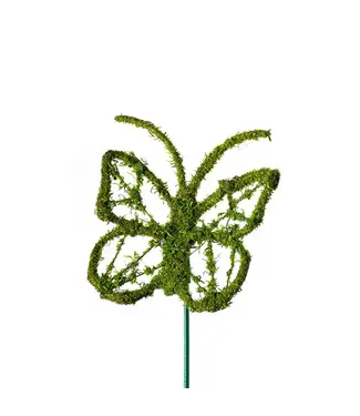 Monarch Moss Pick - Medium