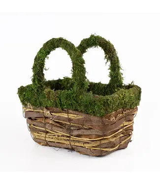 Dorothy  Moss Basket - Green/Natural 10x9x7