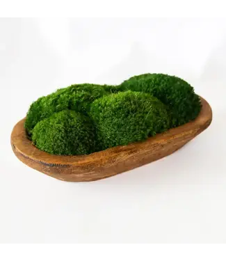 Moss Petite Wooden Dish