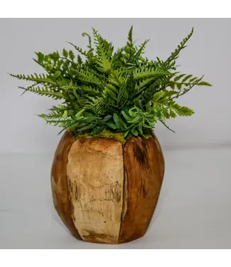 Faux Woodland Fern