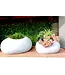 Anamese Garden + Home Stone Planter 9.5"L x 7"D x 5" H Small Riverstone