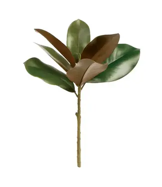 Grand Magnolia Pick 16in