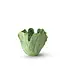 Small Iceberg Elegance Vase, Green