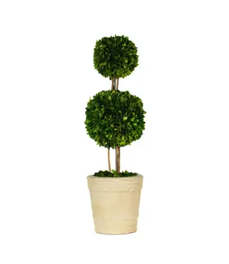 Preserved Boxwood Topiary, Double Ball, 30 in