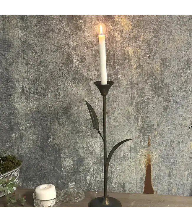 Rustic Iron Taper Holder