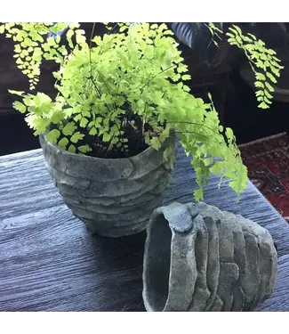 Small Palm Leaf Cement Planter