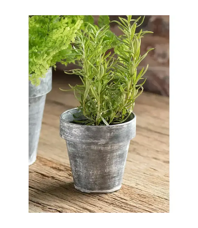 Zinc Flower Pot, Small