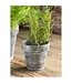 Zinc Flower Pot, Small