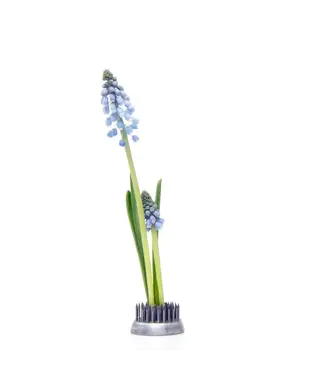 Kenzan Floral Frog, Stainless Steel