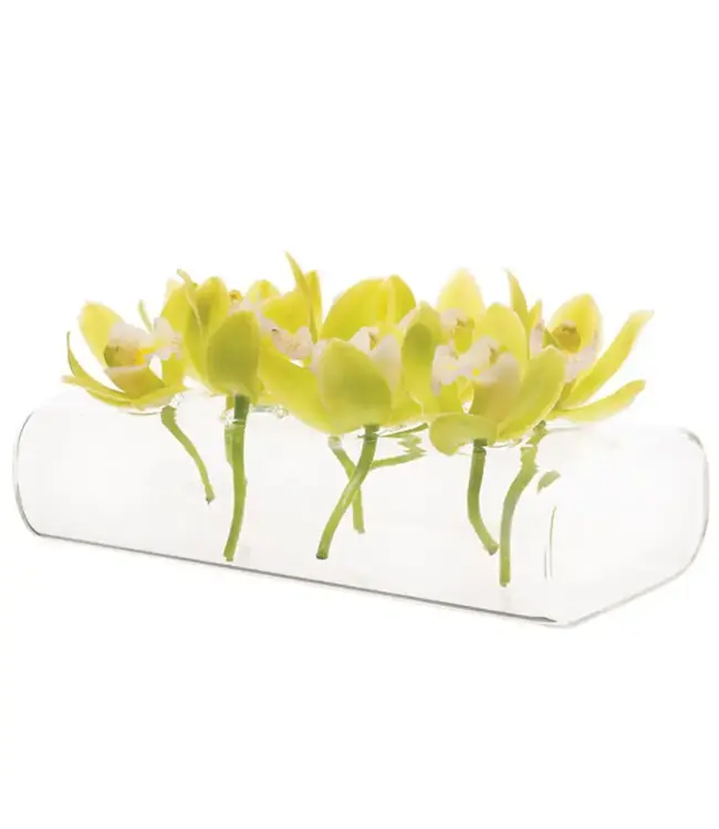 Clear Long Vase, 8 Hole