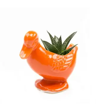 Duck Indoor Planter
